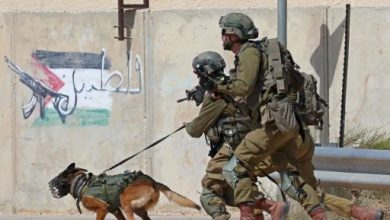 محلل فلسطيني يكشف 4 وسائل تستخدمها قوات الاحتلال لإعدام الأسرى داخل المعتقلات